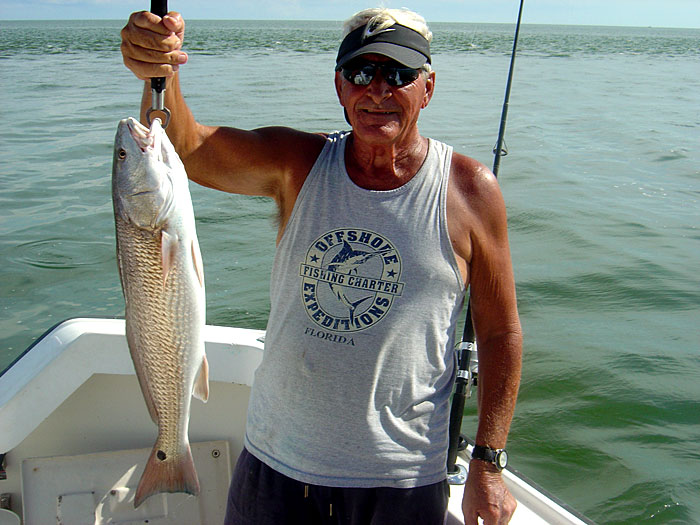 Nice Red Drum Caught With Captain Tim at Crystal River Florida